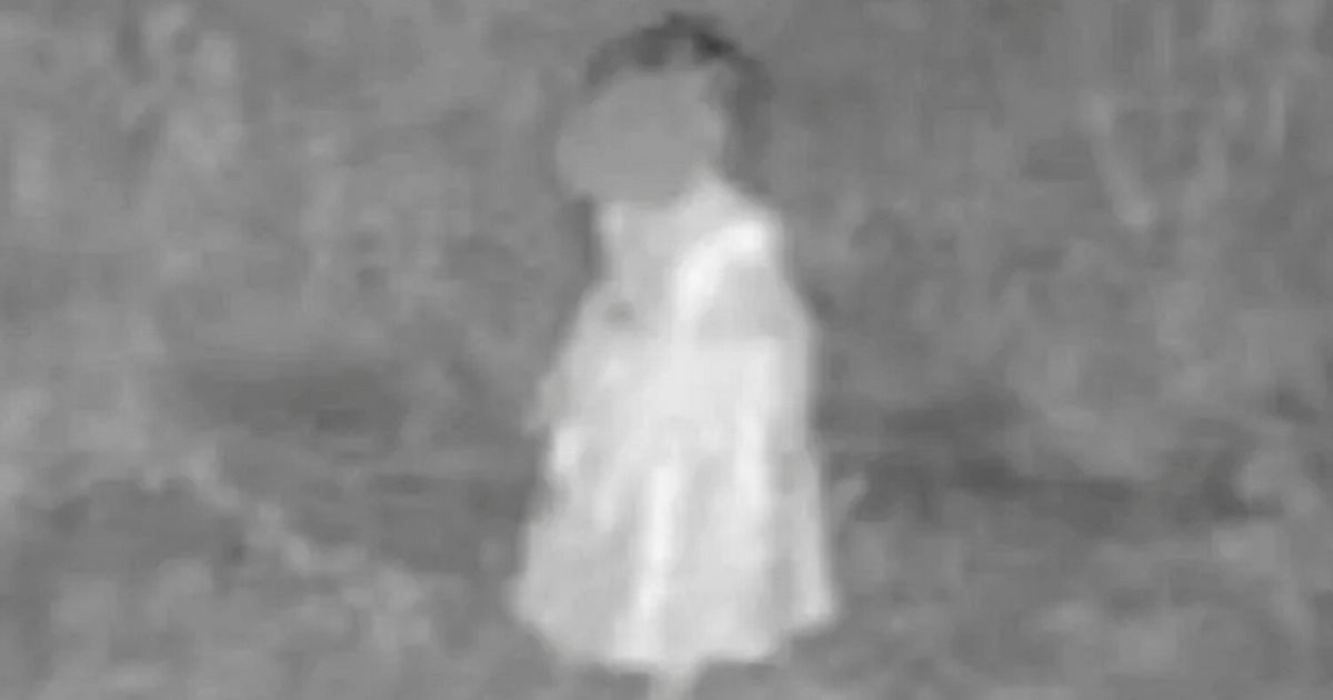 Girl, 2, spotted roaming around alone barefoot in the woods