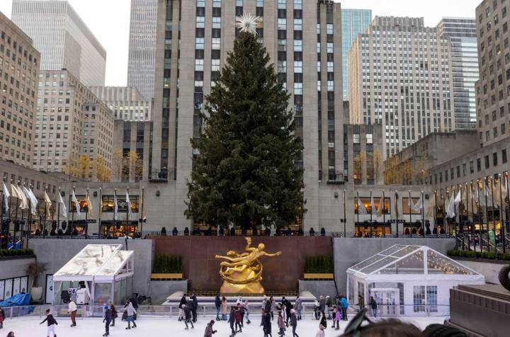 How to Watch Halle Bailey, Michael Bublé & More Perform at the Rockefeller Center Christmas Tree Lighting Ceremony 2025 Online for Free