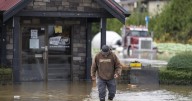 165 farms under flood evacuation order or alert in B.C.'s Fraser Valley