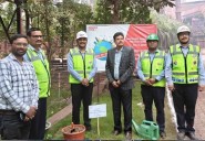 AM/NS India Marks National Pollution Prevention Day with Awareness Drives & Tree Plantation at Odisha Plants