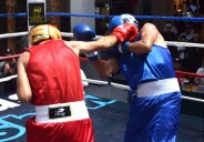 Continúa boxeadores de Hidalgo con el Guantes de Oro