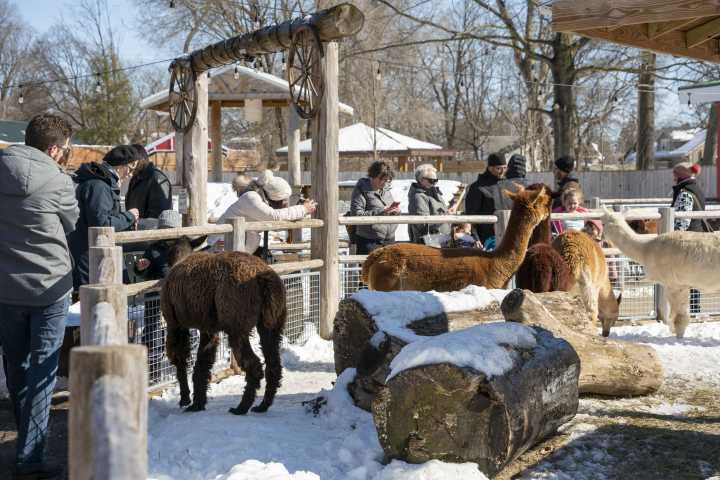 Local zoo brings petting zoo to care center in Mishawaka