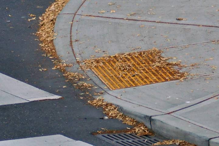 Public Works committee seeks five new members