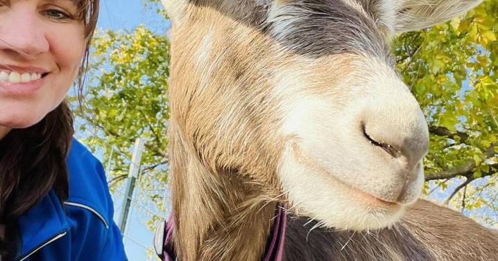 Beloved blind goat from Edgerton passes away