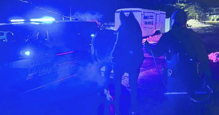 Stray horse finds its way home with help from Bedford Police, residents
