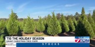 At Grant Christmas Tree Farm, real trees are a timeless tradition