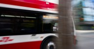 TTC could give free rides to regular users under new model