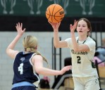 Basketball and local scores for south, west, north suburbs