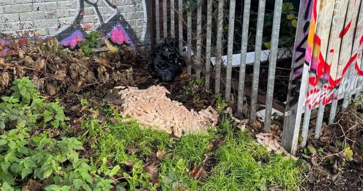 Mystery after hundreds of raw sausages dumped near Bristol footpath