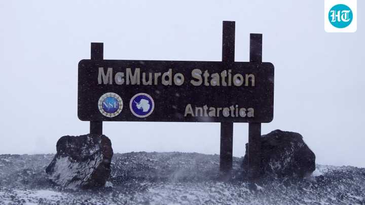 Man offered ₹ 1.3 crore Antarctica job, unsure about time away from partner