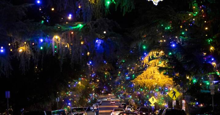 Christmas Tree Lane will light up tonight, carrying on beloved tradition in fire