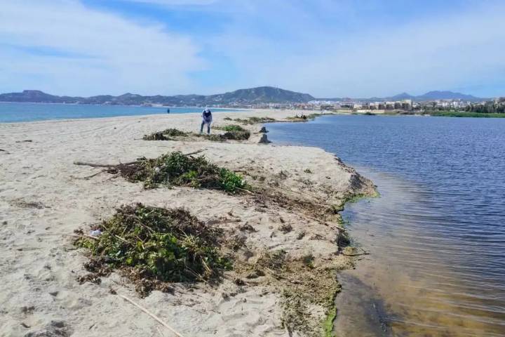 Continúan jornadas de limpieza para la conservación del Estero josefino