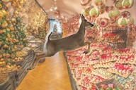 Deer Wreaks Havoc Inside Tennessee Christmas Store