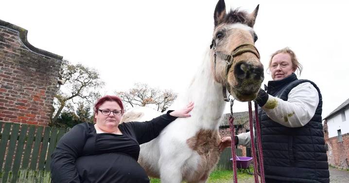 Woman 'suicidal' after trolling as police investigate 'malicious communications'