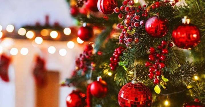 Por qué el árbol de Navidad se arma el 8 de diciembre