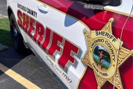 4 Dead Cats Found in Freezer and 17 Live Animals Recovered After Complaint About Home's 'Unsanitary' Conditions