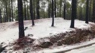 Nieve en la cumbre de Gran Canaria por la borrasca Emilia