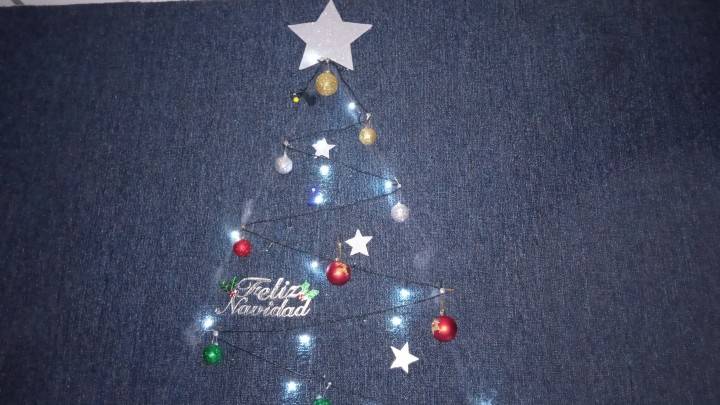 Tucupita insegura: le robaron el arbolito de navidad a la señora Julia en la carretera nacional