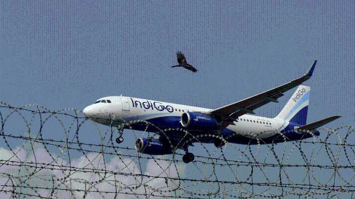 IndiGo seeks relief from FDTL rules for A320 fleet, assures operations stability by 10 Feb