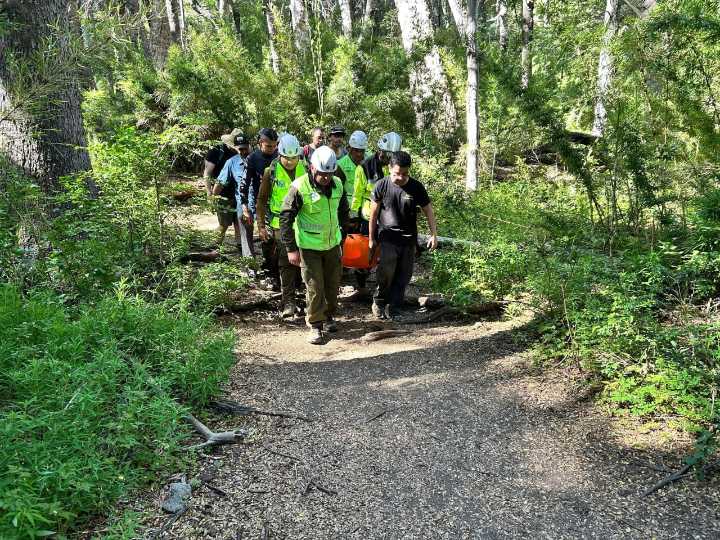 Mujer sufre accidente en la cordillera de Ñuble.