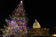 LIVE: U.S. Capital Christmas Tree Lighting Ceremony