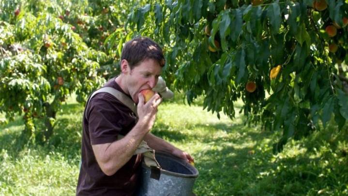 Niagara Mennonites Vote to Im-Peach Pastor Dave