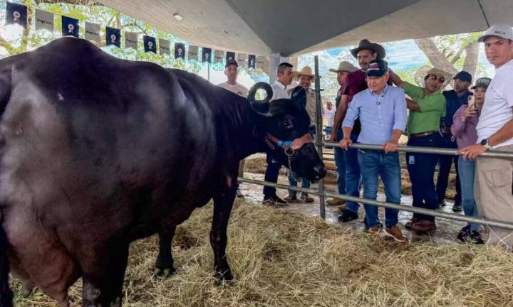 Producción pesquera y acuicultura crecen pese a agresiones imperiales