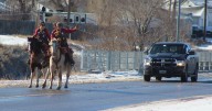The Pony Express Christmas Card Ride