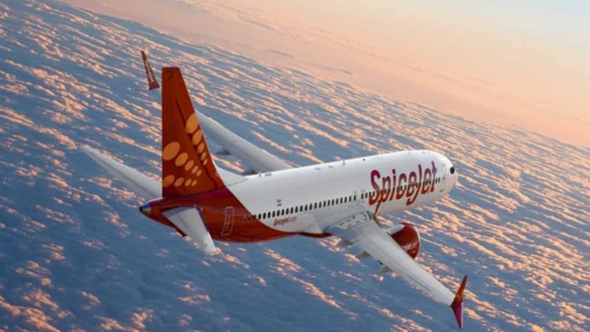 SpiceJet plans 100 extra daily flights this winter amid IndiGo disruptions