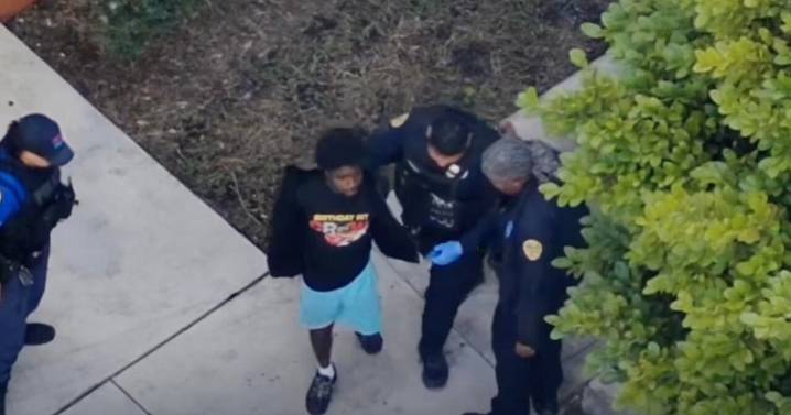 Video shows Miami police drone tracking suspect involved in domestic dispute