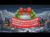 Santa Paws MEGA Pet Adoption event features hundreds of adoptable animals in La Mesa
