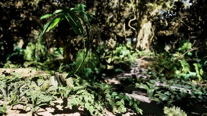 ‘Vértigo y atracción’: la exposición de Miguel Escobar que aborda el arte digital estará en el Museo La Tertulia