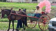 Un abuelo en sulki y una nieta recién graduada: la escena que hizo emocionar a Frías