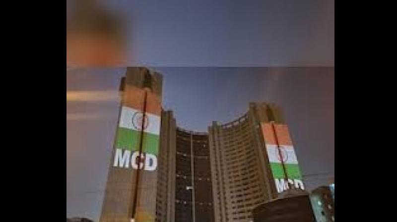 Delhi MCD Bypoll Results 2025: Full List of Winners