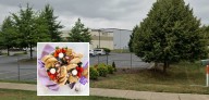 Bakery de France Kneads More Room — Frederick Expansion Delivers Third Maryland Location