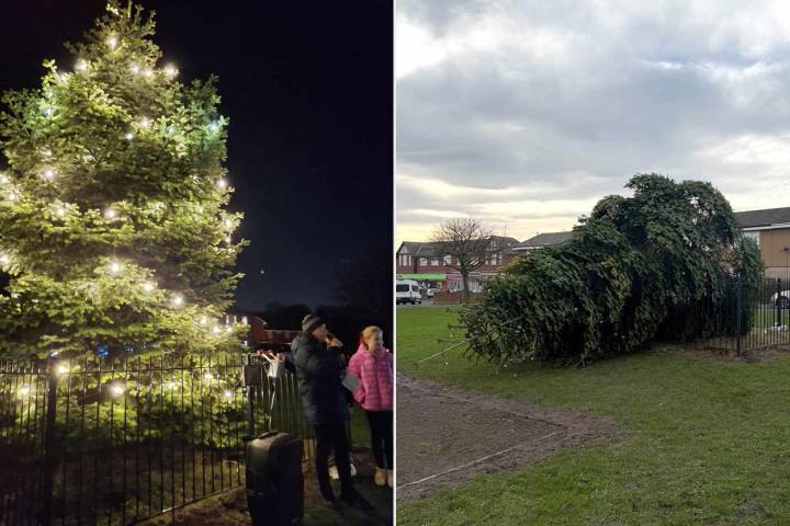 Chainsaw-Wielding Vandals Chop Down Monumental Christmas Tree