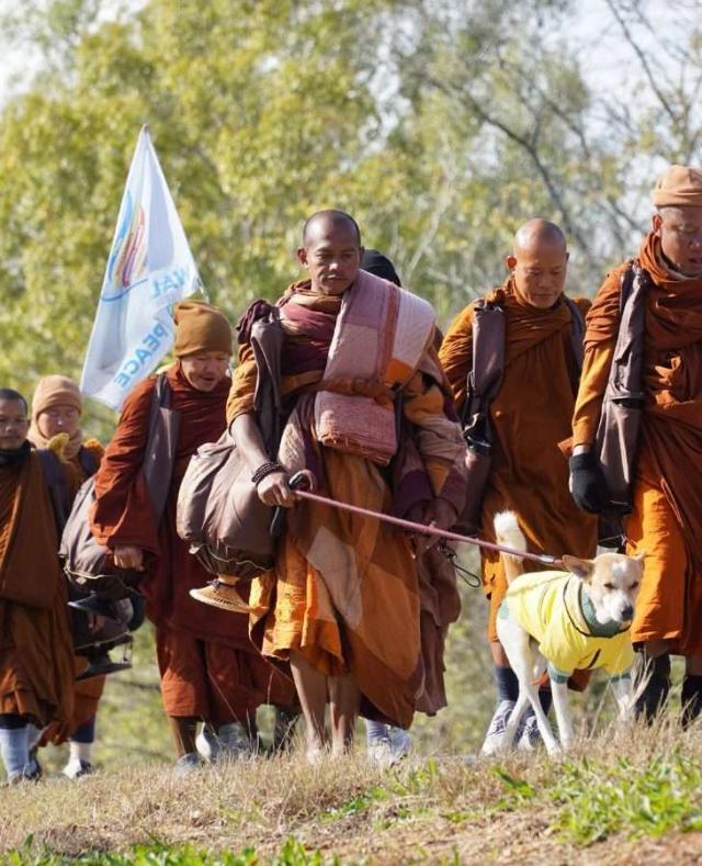 Buddhist Monks on 2,300-Mile ‘Walk for Peace’ Enter Mississippi