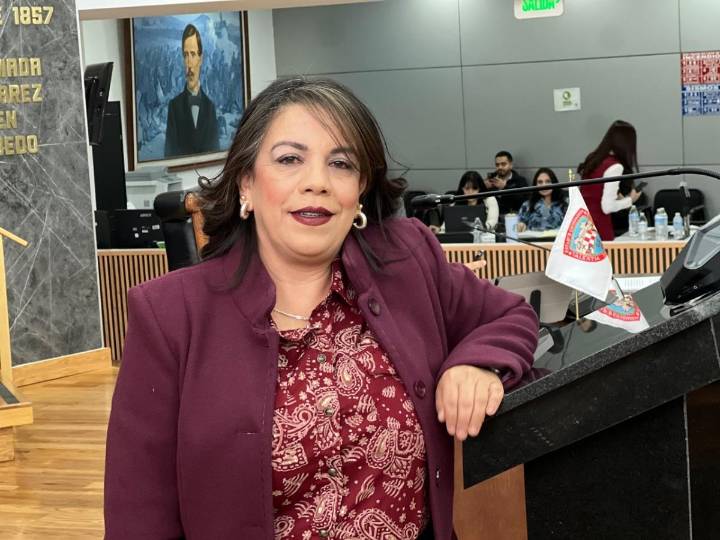 Magdalena Rentería impulsa fortalecimiento del Registro Estatal de Deudores Alimentarios para proteger a la niñez