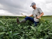 Trump announces $12bn package to aid farmers hurt by his tariffs