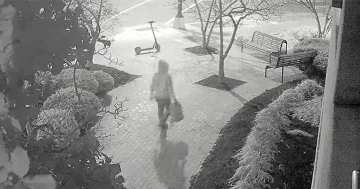 What we know about the suspect in January 2021 D.C. pipe bomb case, DOJ says