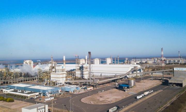 Un gigante agroindustrial se quedaría con el 90% de Profertil