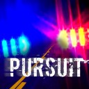 Two-county pursuit ends with arrest in Goreville