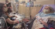 Kidney donation from husband's ex-wife saves Texas woman's life