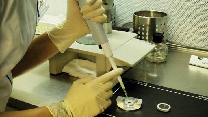 35 de los 197 bebés que engendró un donante de esperma con un gen cancerígeno, nacieron en España