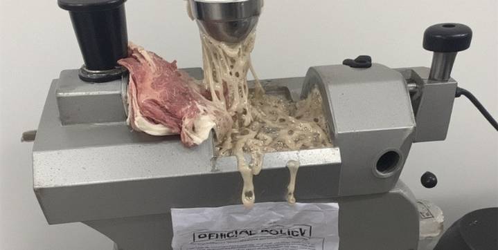 Similarities of Mechanically Recovered Meat and Reform Policies