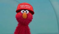 Elmo Radicalized After Migrants Bused To Sesame Street