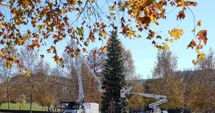 WATCH: First Capitol Christmas tree from Nevada is lit for the holiday season