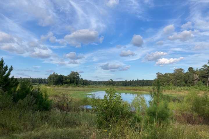 County, state officials aim to preserve developer