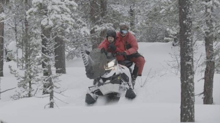 Behind the Scenes of 'Prehistoric Planet: Ice Age': The Use of Puppetry to Blend Practical and Visual Effects