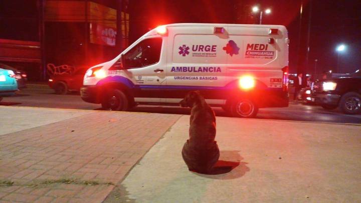 Atropellan a hombre que perseguía a su perro en Ejército Nacional